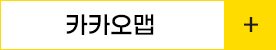 카카오맵
